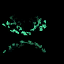 o006000_shop_burner_01_em (2).png